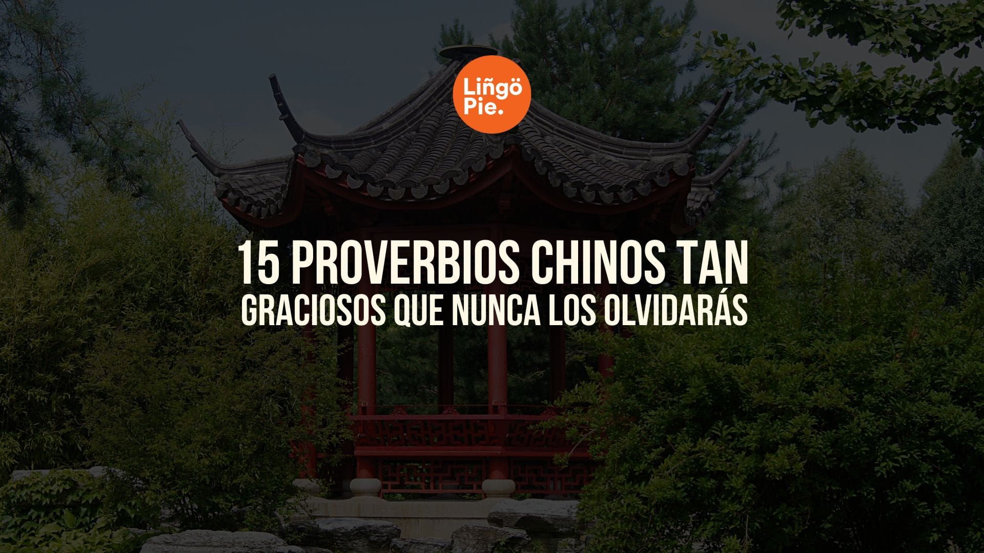15 Proverbios Chinos Tan Graciosos Que Nunca Los Olvidarás