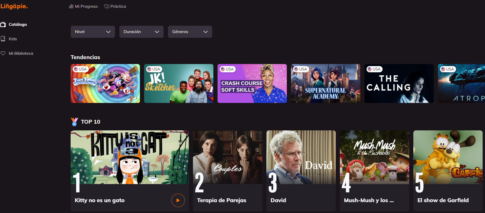 Cómo aprender idiomas con Netflix