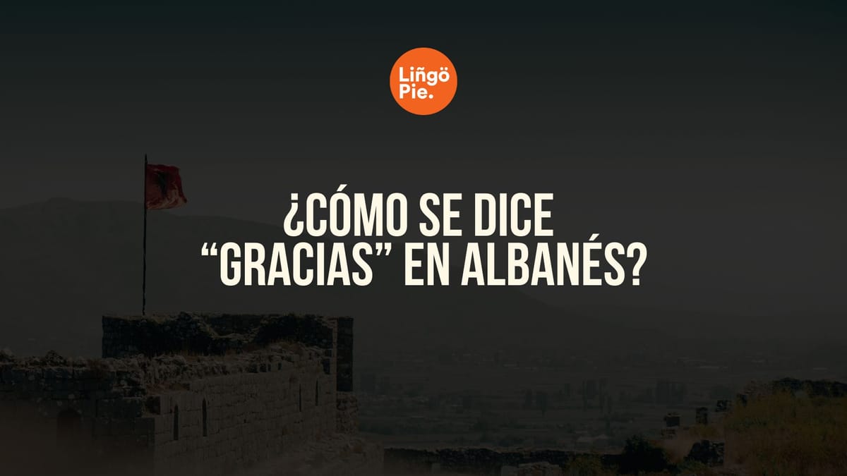 gracias en albanés
