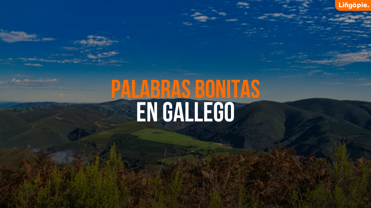 Palabras Bonitas en Gallego [Guía Práctica de Vocabulario y Cultura]