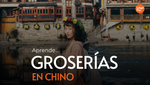 Aprende Groserías En Chino [Guía 2024]