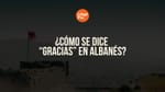 gracias en albanés