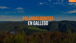 Palabras Bonitas en Gallego [Guía Práctica de Vocabulario y Cultura]