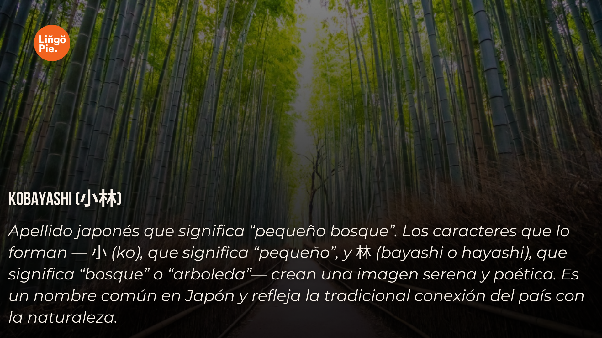 Los 15 apellidos japoneses más comunes y sus significados