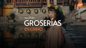 Aprende Insultos en Chino [Guía 2025]
