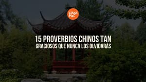 15 Proverbios Chinos Tan Graciosos Que Nunca Los Olvidarás